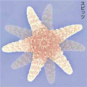 スピッツ - スピッツ download flac mp3