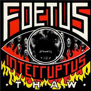 Foetus Interruptus - Thaw download flac mp3