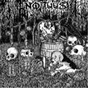 Noituus - Noituus download flac mp3