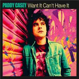 Paddy Casey - Want It Can't Have It download flac mp3