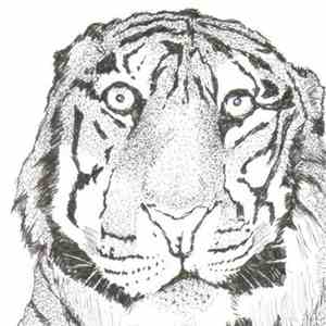 Slow Thaw - Slow Thaw download flac mp3