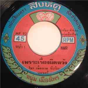 ไพร เมืองงาม / หนุ่ม เมืองไพร - เพราะเรื่องผิดหวัง / พี่ไม่กลัว download flac mp3