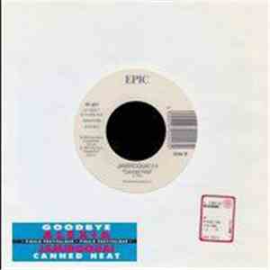 Alexia / Jamiroquai - Goodbye / Canned Heat download flac mp3