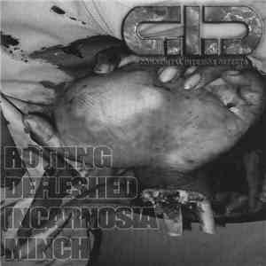 Congenital Interior Defects / Urine Festival - Rotting Defleshed Incarnosia Minch / Enfluxorgasmic Engorged Climax download flac mp3