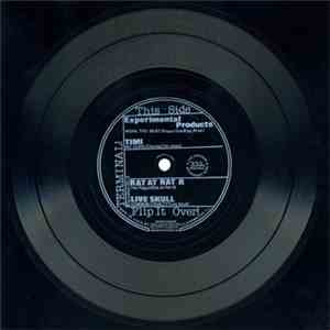 Experimental Products / Timi / Rat At Rat R / Live Skull - Terminal! Flexidisk No.2 download flac mp3
