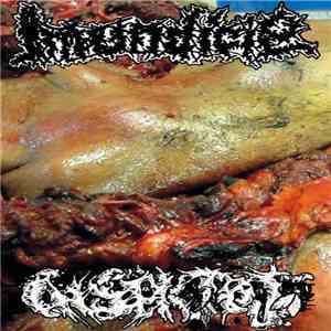 Imundície / Insektoj - Imundície // Insektoj download flac mp3
