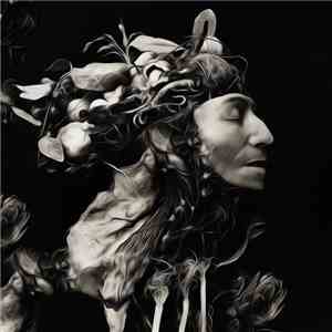 N0123NOISE / Veil of Nature - A Past of Meaningless Trials download flac mp3
