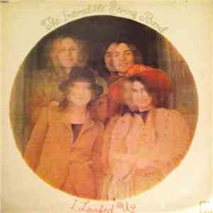 The Incredible String Band - I Looked Up download flac mp3