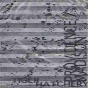 Tiger Hatchery - Providence/Madison download flac mp3
