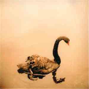 Crooked Fingers - Crooked Fingers download flac mp3