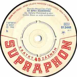 Helena Blehárová, Štěpán Mátl - Až Šípky Rozkvetou / Happy End download flac mp3