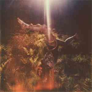 Orphan Fairytale - Comets Come Alive download flac mp3