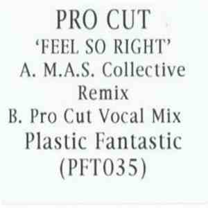 Pro Cut - Feel So Right download flac mp3