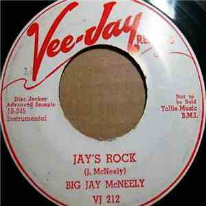 The Delegates  / Big Jay McNeely - The Convention / Jay's Rock download flac mp3