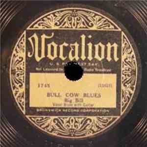 Big Bill - Bull Cow Blues / How You Want It Done? flac mp3 download
