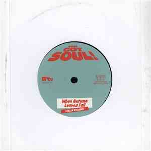 Furlan Williams - When Autumn Leaves Fall / Sunshine download flac mp3
