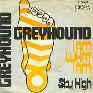 Greyhound  - I Am What I Am / Sky High download flac mp3