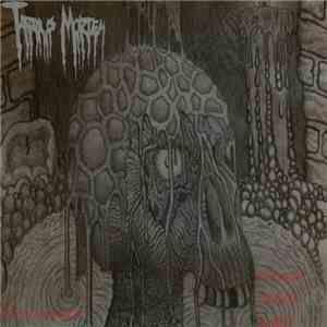 Tardus Mortem - Reincarnated Through Bloodshed download flac mp3
