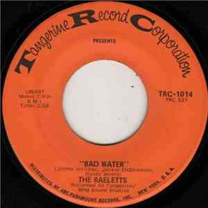 The Raeletts - Bad Water download flac mp3