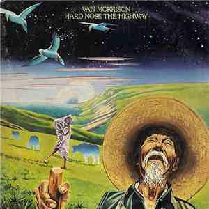 Van Morrison - Hard Nose The Highway download flac mp3