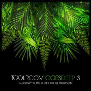 Various - Toolroom Goes Deep 3 flac mp3 download