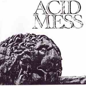 Acid Mess - Acid Mess download flac mp3