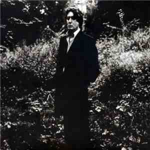 Alain Bashung - L'Imprudence download flac mp3