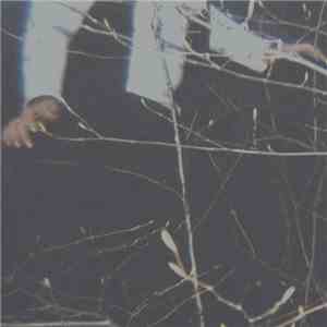 Cemeteries - The Wilderness download flac mp3
