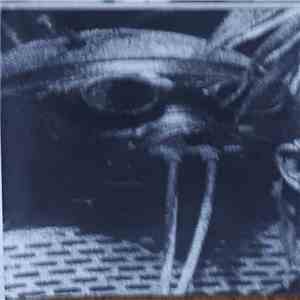 Hyoid - Vision Of The New World download flac mp3