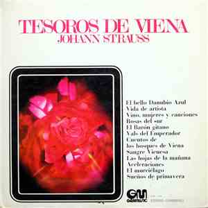 Johann Strauss, Orquesta Johann Von Silber - Tesoros De Viena download flac mp3