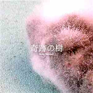 Ryogo Yamamori - 奇跡の樹 Moringa - The Miracle Plant download flac mp3