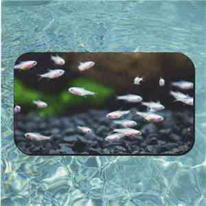 saki 夢 - テトラEP download flac mp3