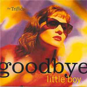 The Triffids - Goodbye Little Boy download flac mp3