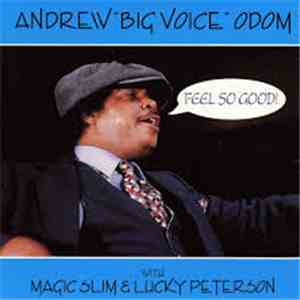 Big Voice Odom - Feel So Good flac mp3 download