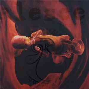 Coalesce - 0:12 Revolution In Just Listening download flac mp3