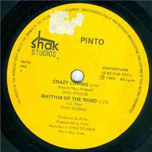 Pinto  - Crazy Loving download flac mp3