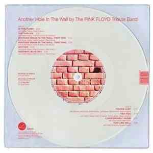 The Pink Floyd Tribute Band - Another Hole In The World download flac mp3