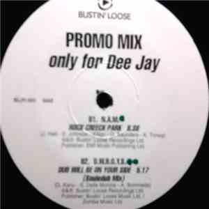 Various - Promo Mix Only For Dee Jay download flac mp3