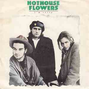Hothouse Flowers - I'm Sorry download flac mp3