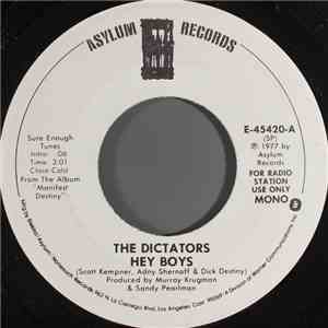 The Dictators - Hey Boys download flac mp3
