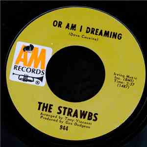 The Strawbs - Oh How She Changed download flac mp3