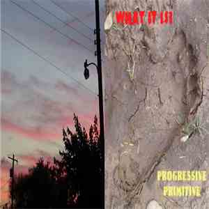 What It Is? - Progressive Primitive download flac mp3