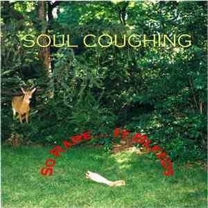 Soul Coughing - So Rare... It Bleeds download flac mp3