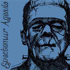 The Do's, Fur Blend, Clandestines  - Spectemur Agendo download flac mp3