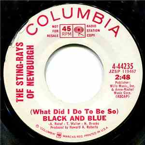 The Sting-Rays Of Newburgh - (What Did I Do To Be So) Black And Blue download flac mp3