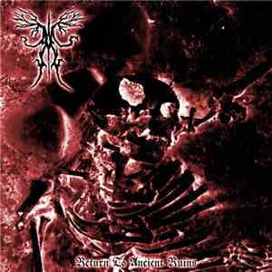 Ancient Boreal Forest - Return To Ancient Ruins download flac mp3