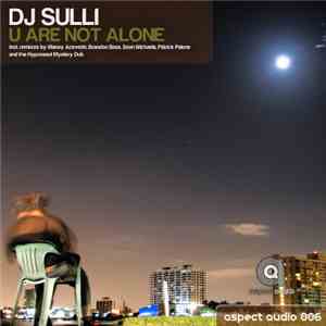 DJ Sulli - U Are Not Alone download flac mp3