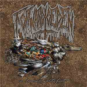 Forward To Eden - A Human Artefact download flac mp3