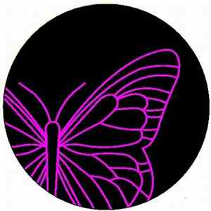 Move D - Quit Quittin' download flac mp3