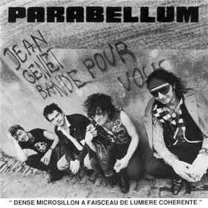 Parabellum - Dense Microsillon A Faisceau De Lumière Cohérente download flac mp3